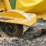 Stump Grinding in Albany and Schenectady