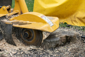Stump Grinding in Albany and Schenectady