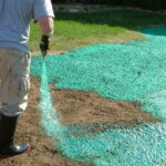 Hydroseeding Albany